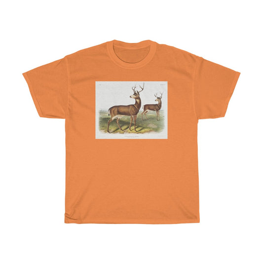 buck Zoology Heavy Cotton Tee
