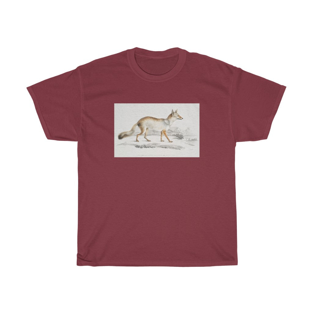 fox Zoology Heavy Cotton Tee