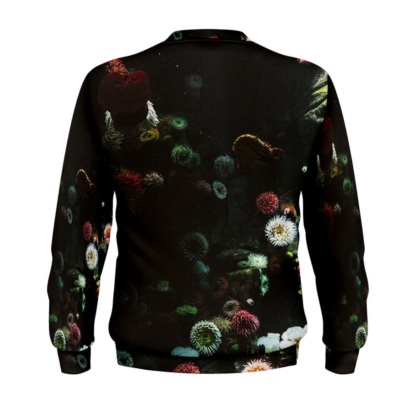coral reef Sweatshirt