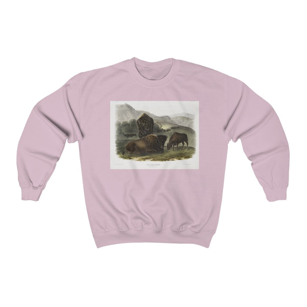 bison zoology Crewneck Sweatshirt