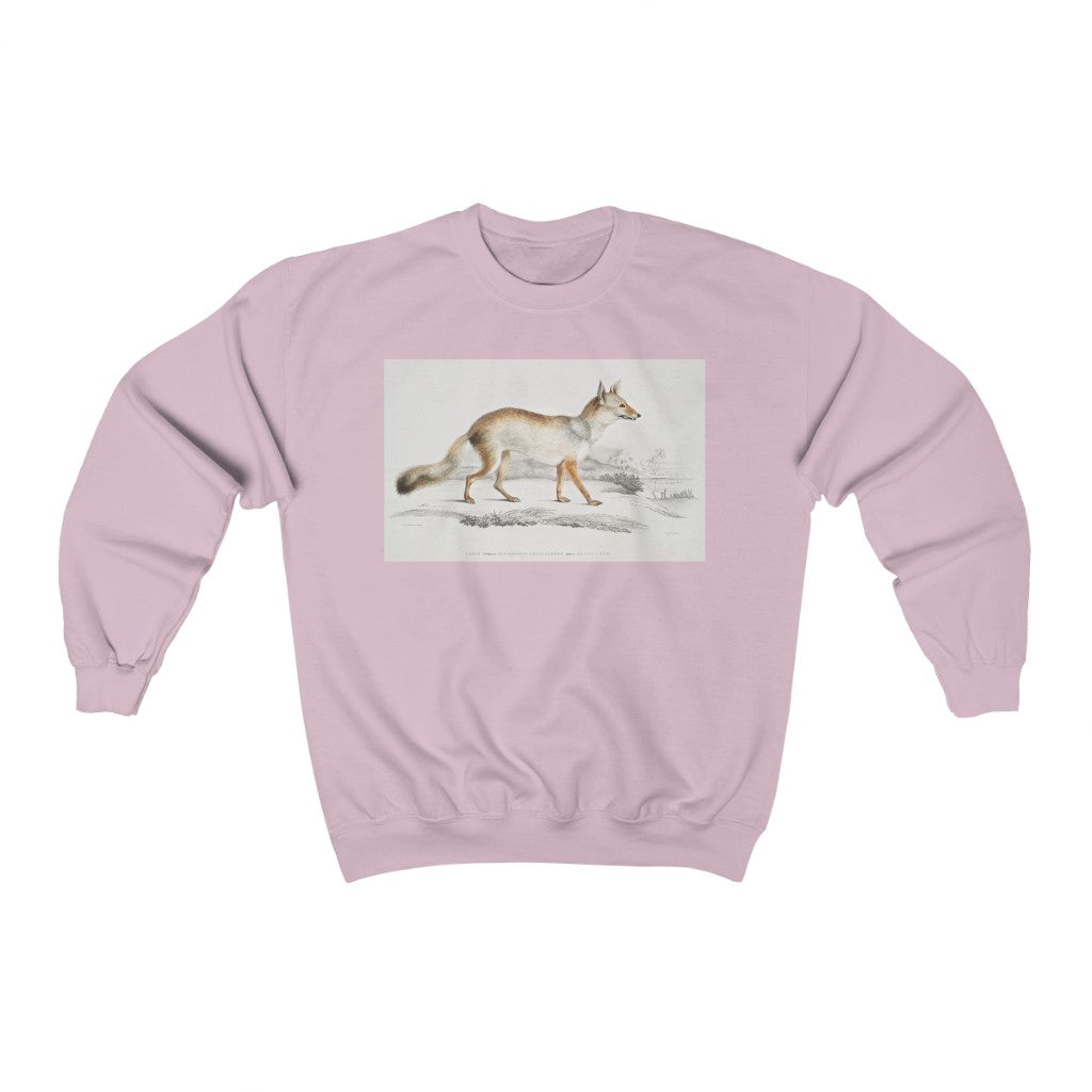 fox zoology Crewneck Sweatshirt