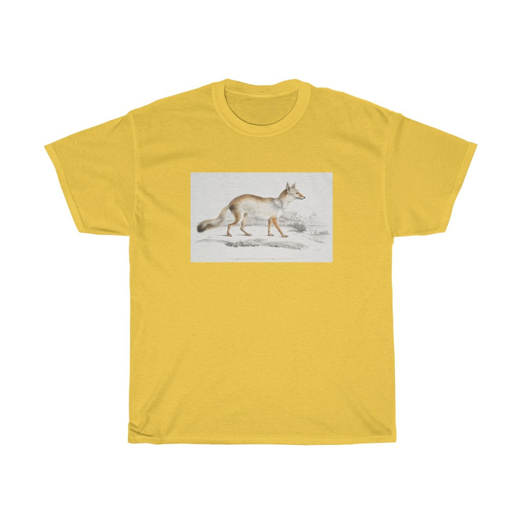 fox Zoology Heavy Cotton Tee