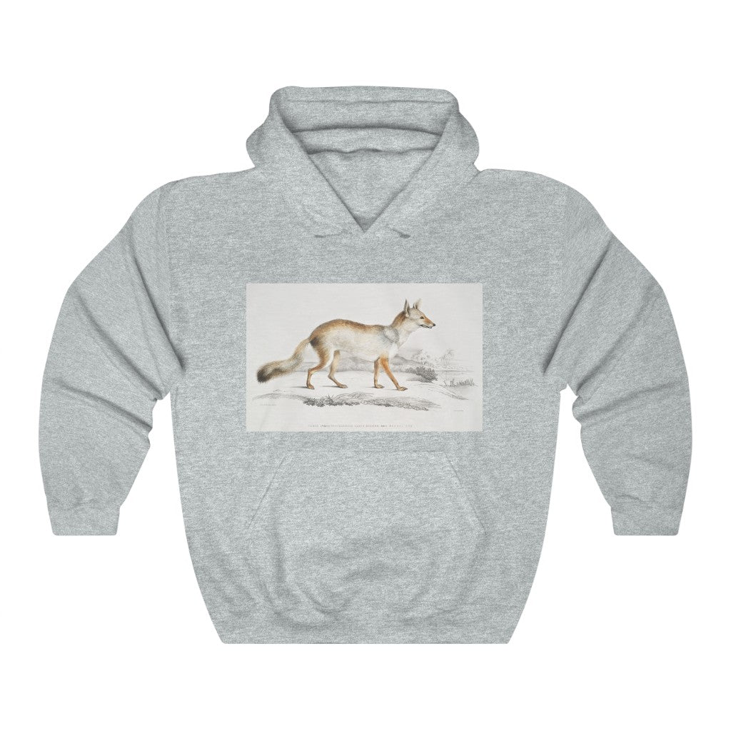 fox zoology Hooded Sweatshirt
