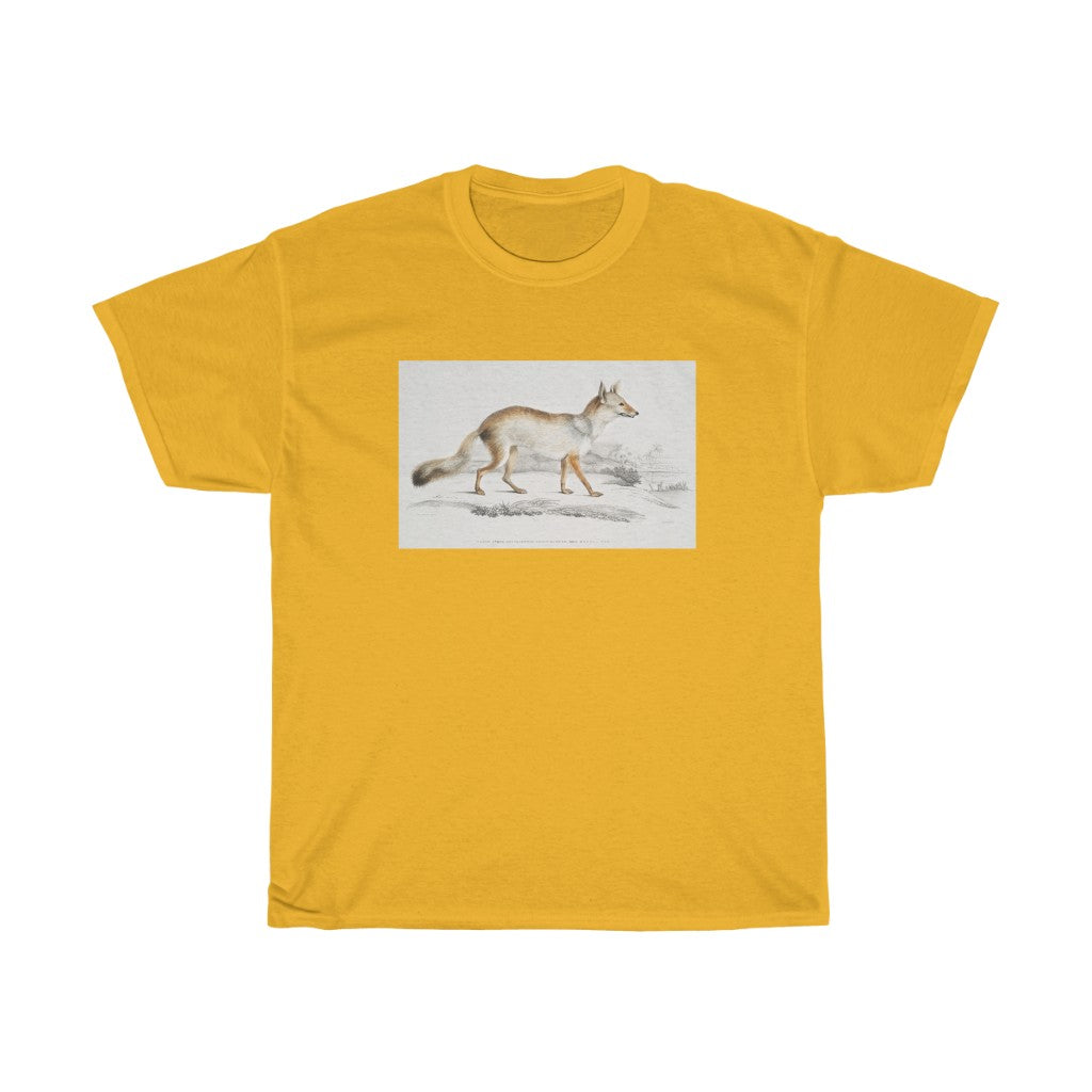 fox Zoology Heavy Cotton Tee