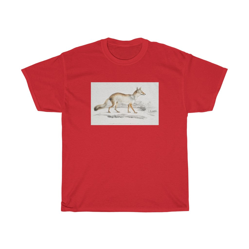 fox Zoology Heavy Cotton Tee