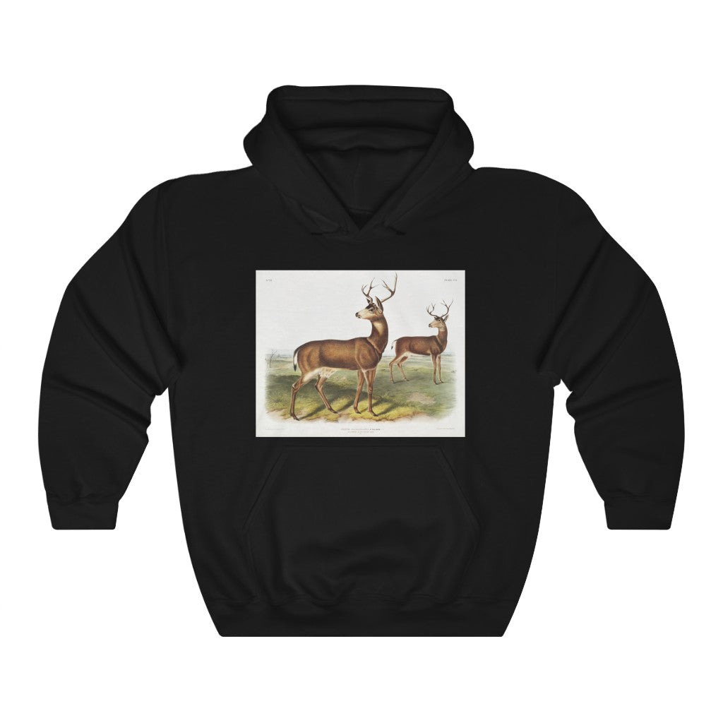 buck zoology Hooded Sweatshirt