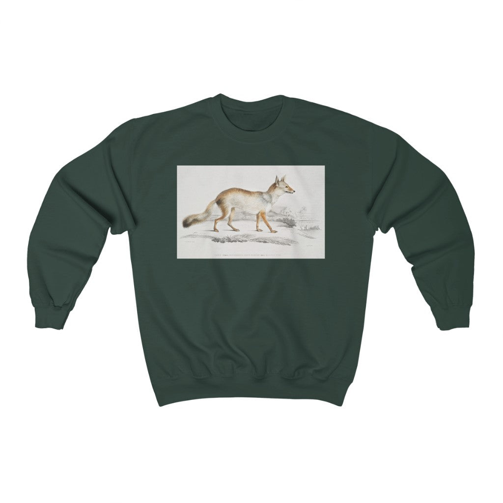 fox zoology Crewneck Sweatshirt
