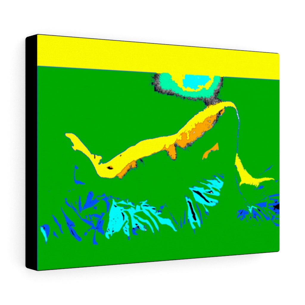 His Green Shadow Stretched Canvas