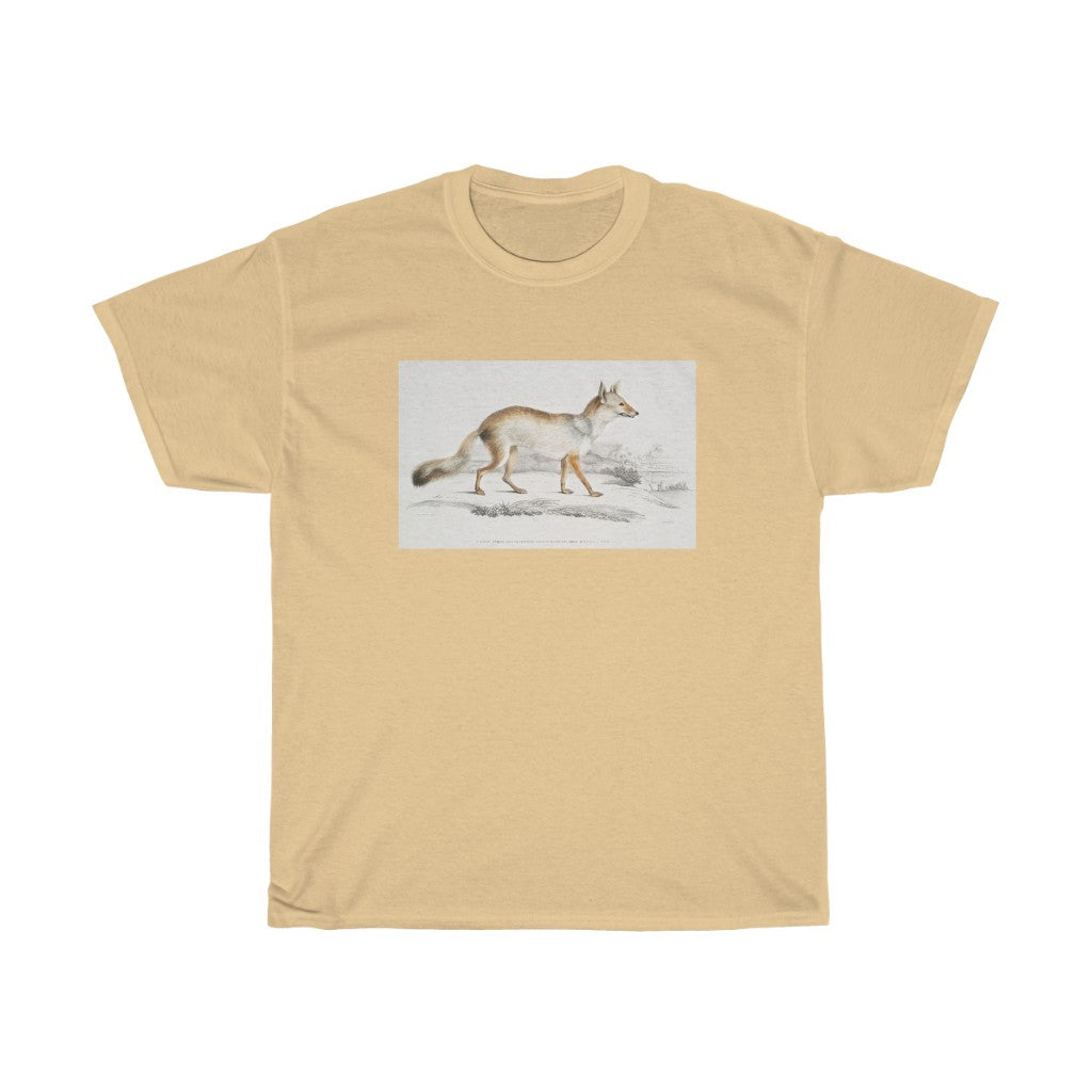 fox Zoology Heavy Cotton Tee