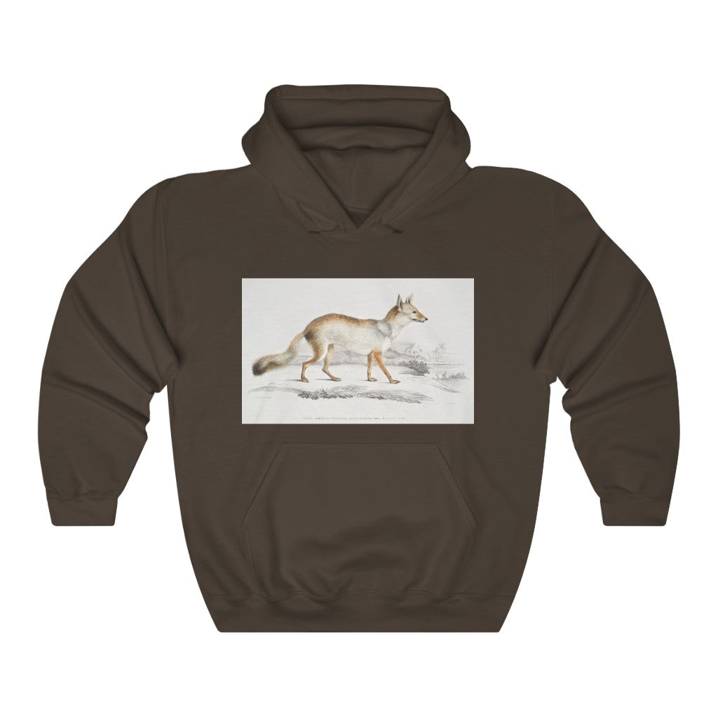 fox zoology Hooded Sweatshirt