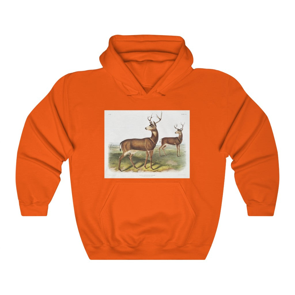 buck zoology Hooded Sweatshirt