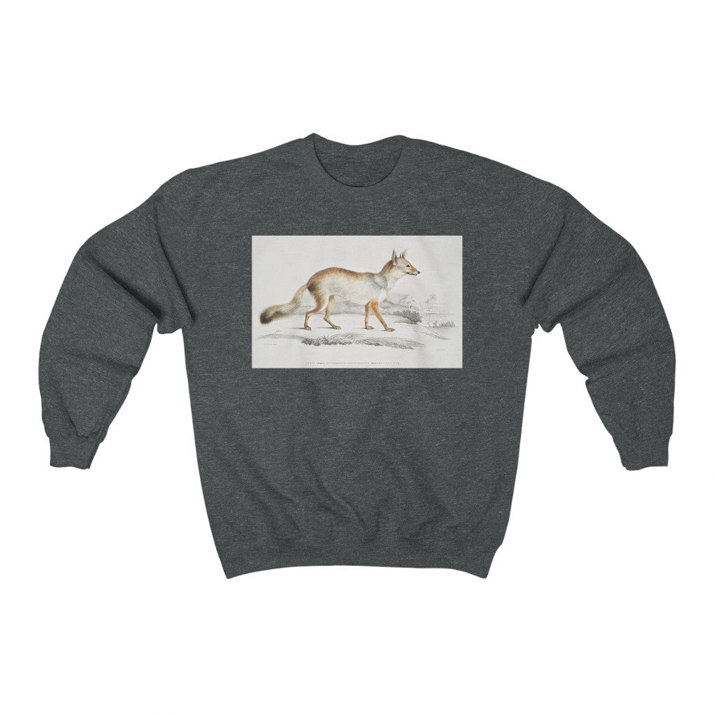 fox zoology Crewneck Sweatshirt