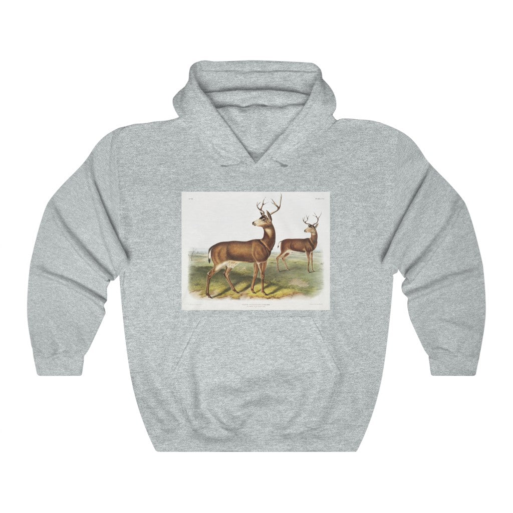 buck zoology Hooded Sweatshirt