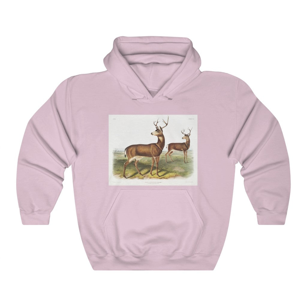 buck zoology Hooded Sweatshirt