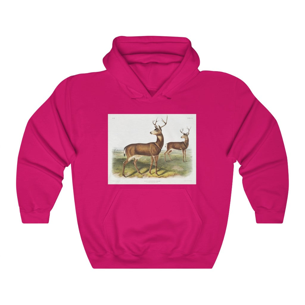 buck zoology Hooded Sweatshirt