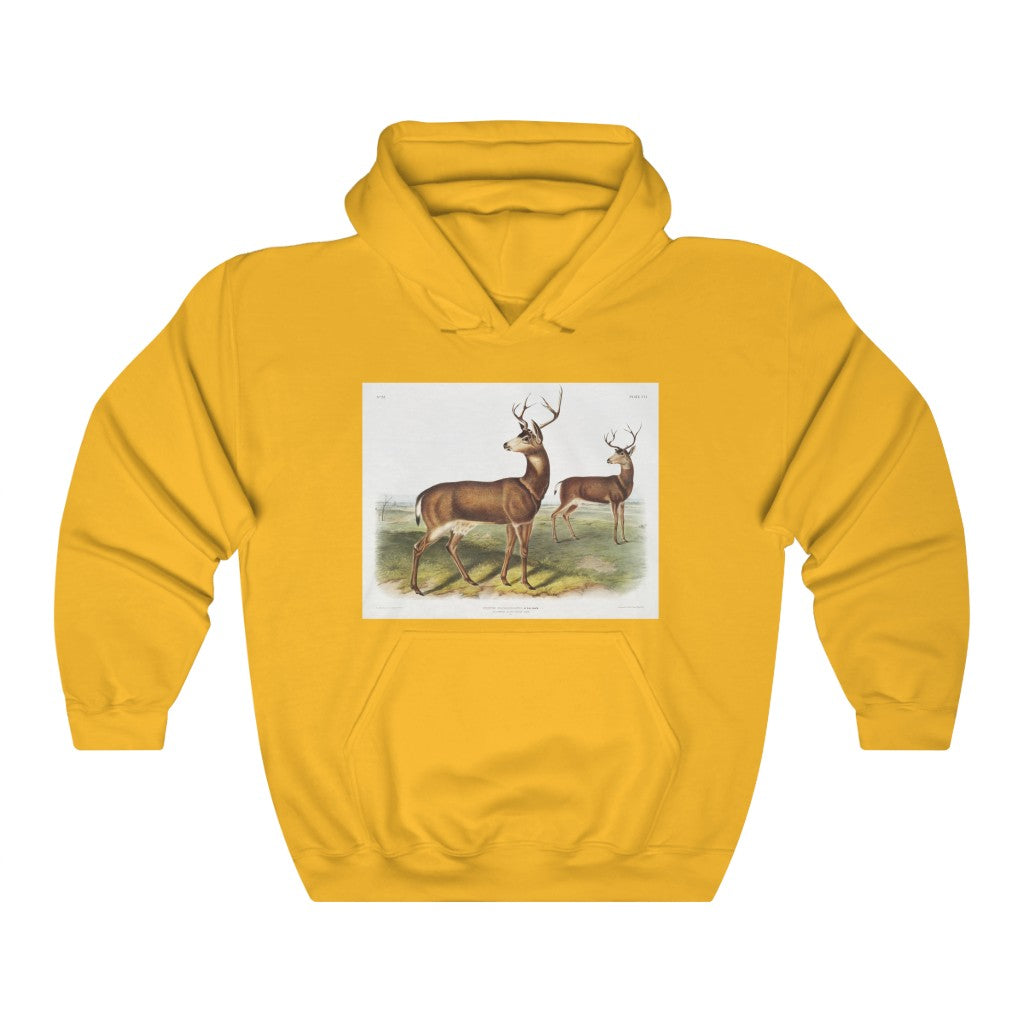 buck zoology Hooded Sweatshirt