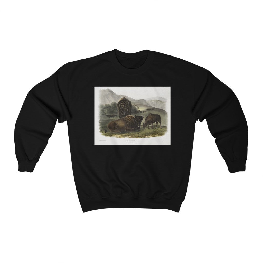 bison zoology Crewneck Sweatshirt