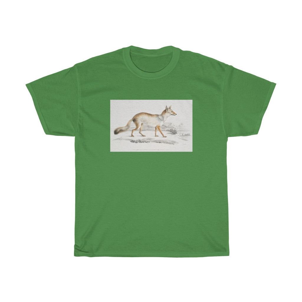 fox Zoology Heavy Cotton Tee