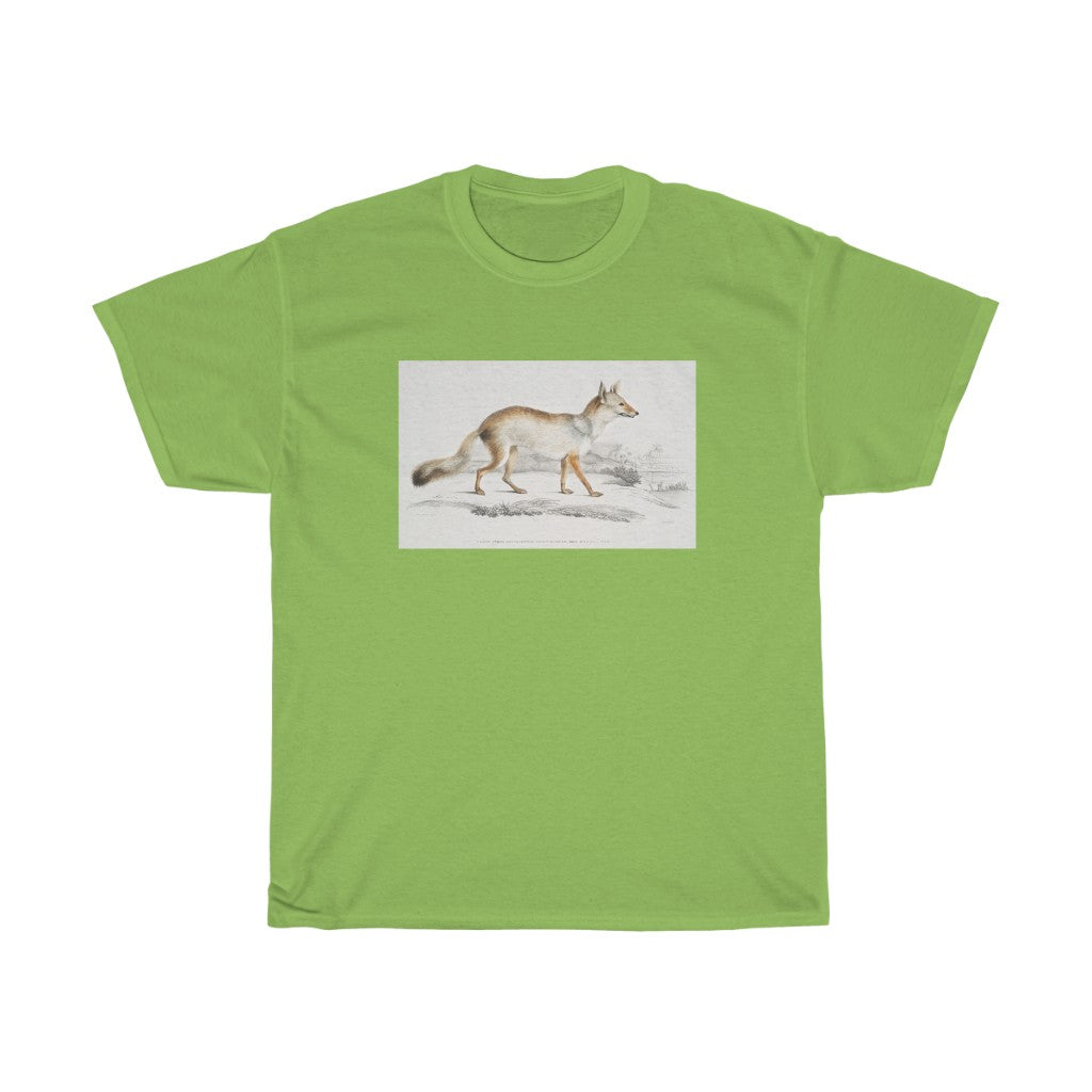 fox Zoology Heavy Cotton Tee
