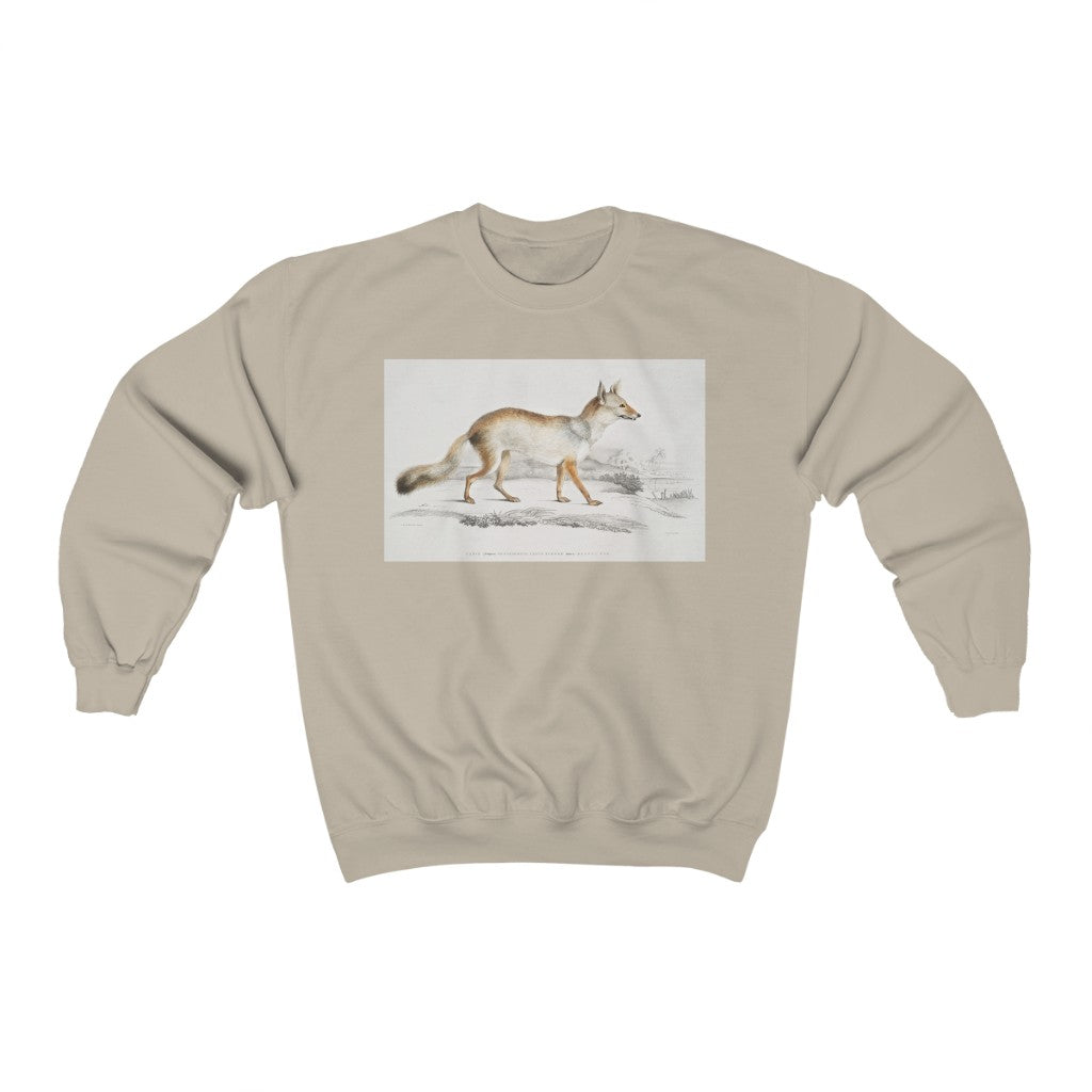 fox zoology Crewneck Sweatshirt