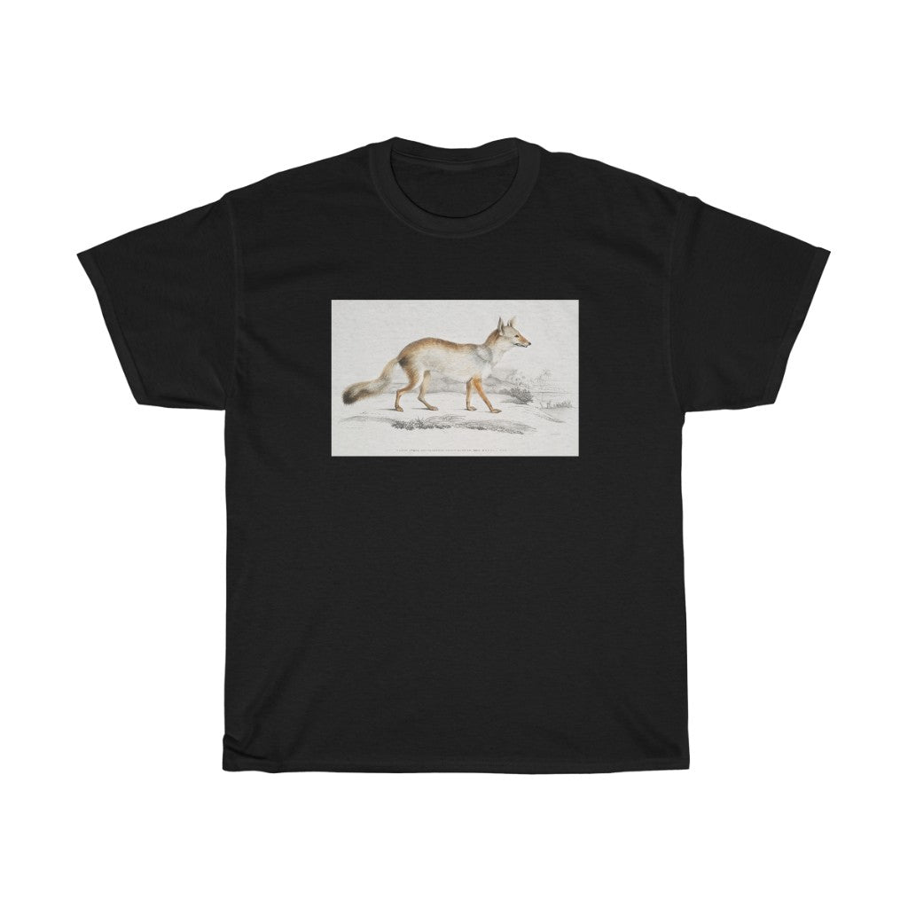 fox Zoology Heavy Cotton Tee