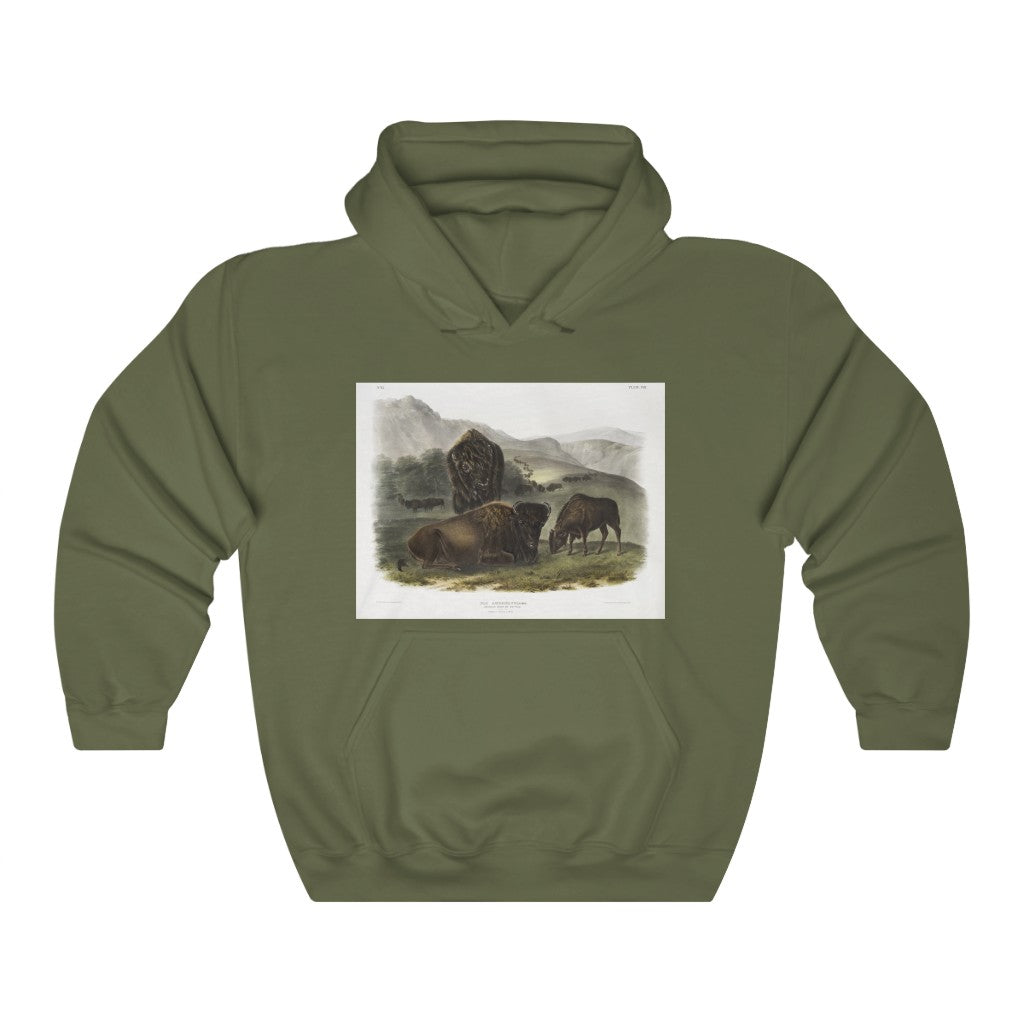 bison zoology Hooded Sweatshirt