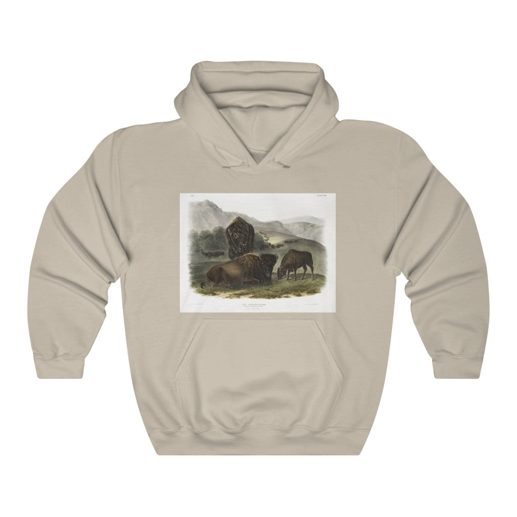 bison zoology Hooded Sweatshirt