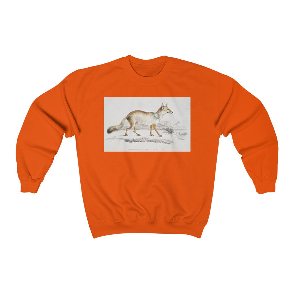 fox zoology Crewneck Sweatshirt