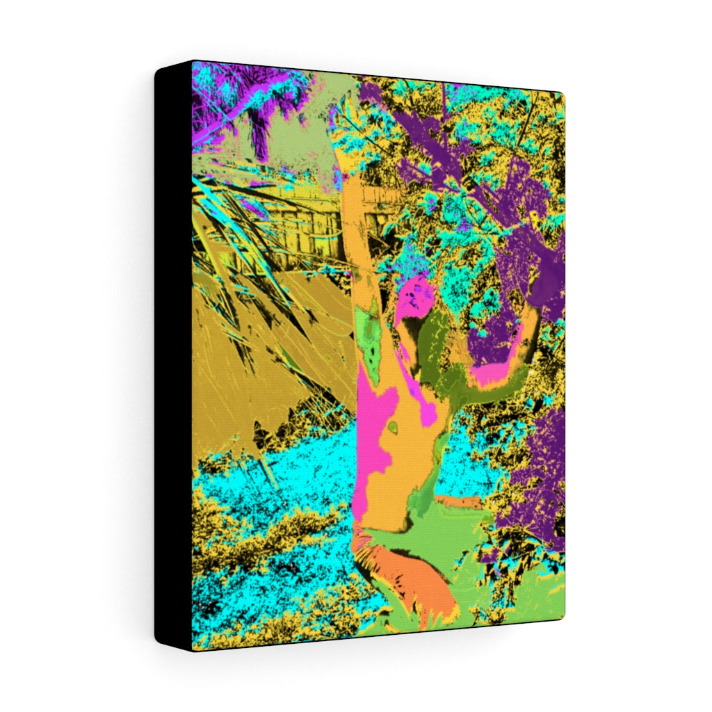 The Palm Fairy Stretched Canvas