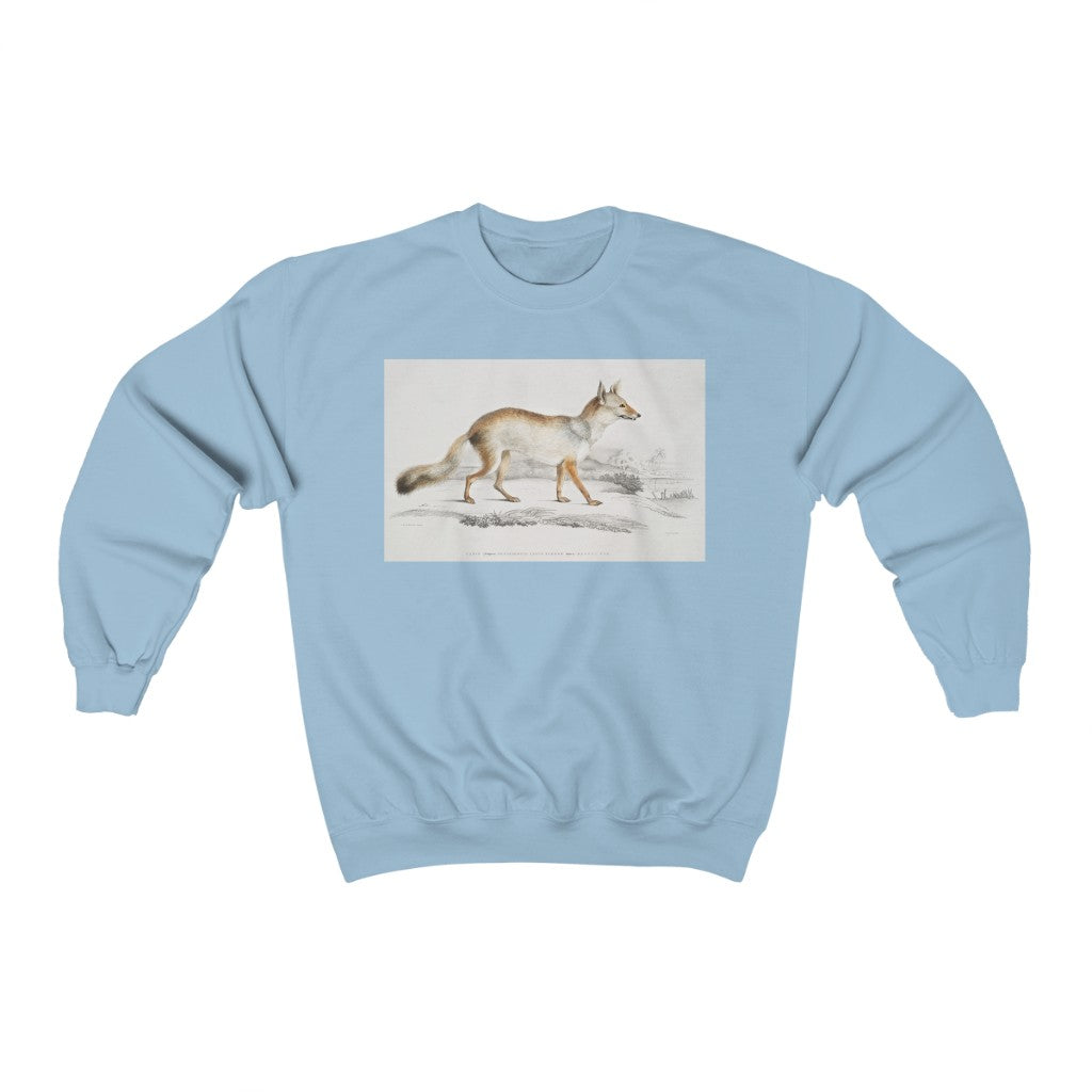 fox zoology Crewneck Sweatshirt
