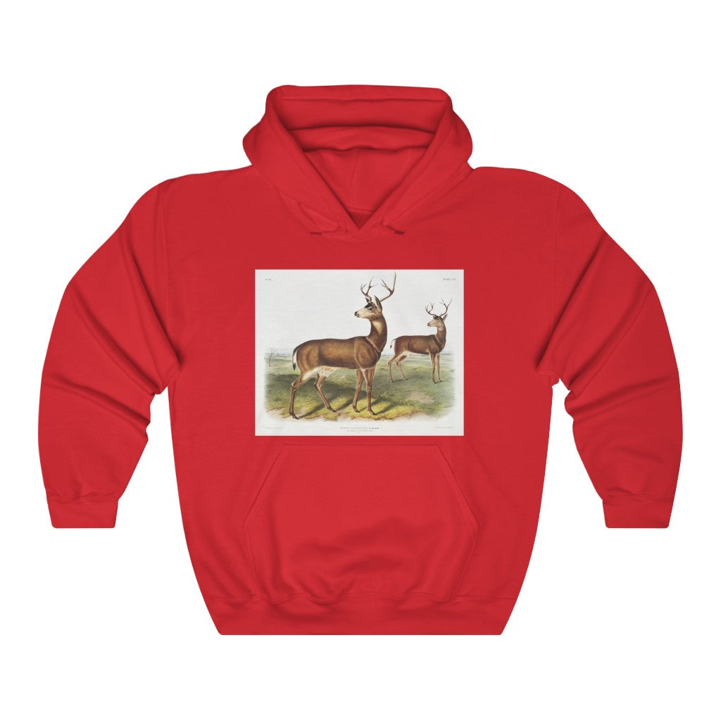 buck zoology Hooded Sweatshirt