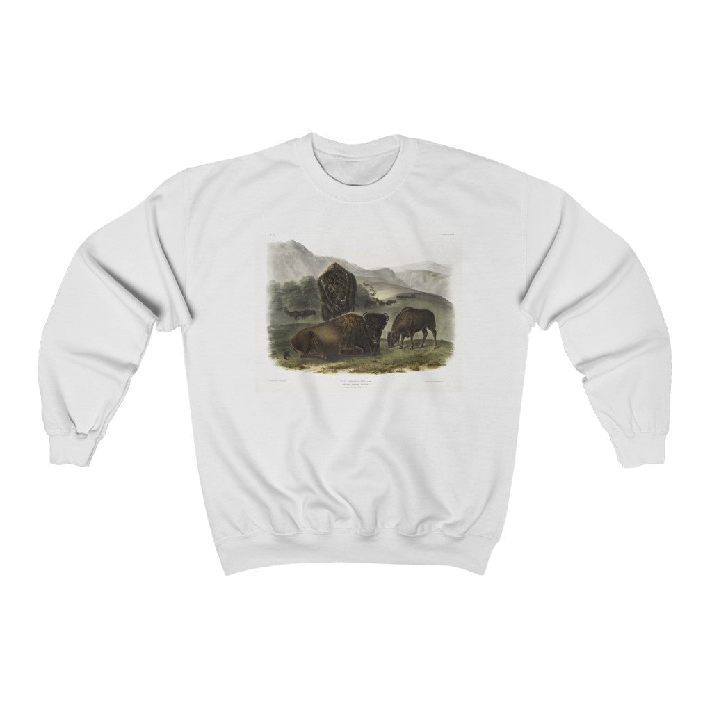 bison zoology Crewneck Sweatshirt
