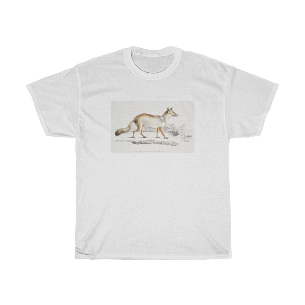 fox Zoology Heavy Cotton Tee