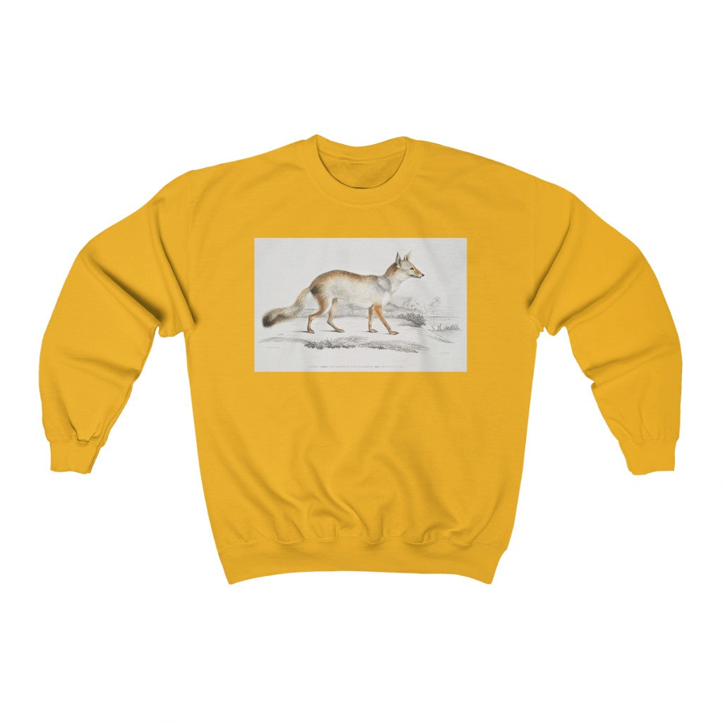 fox zoology Crewneck Sweatshirt