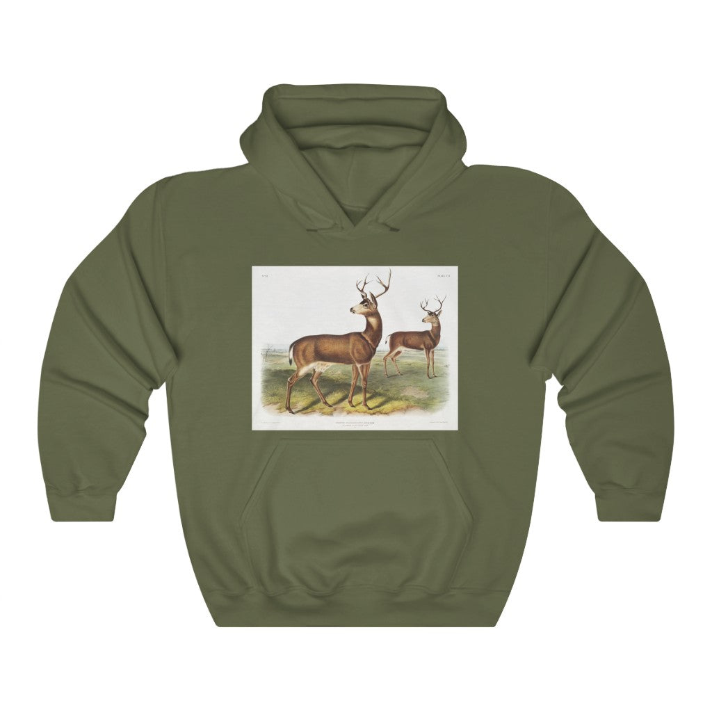 buck zoology Hooded Sweatshirt