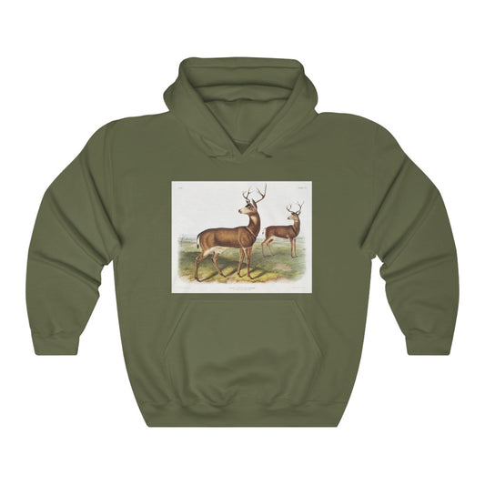buck zoology Hooded Sweatshirt