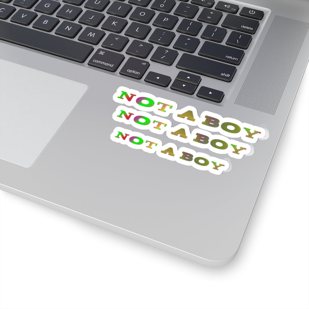 not a boy non-binary Kiss-Cut Stickers