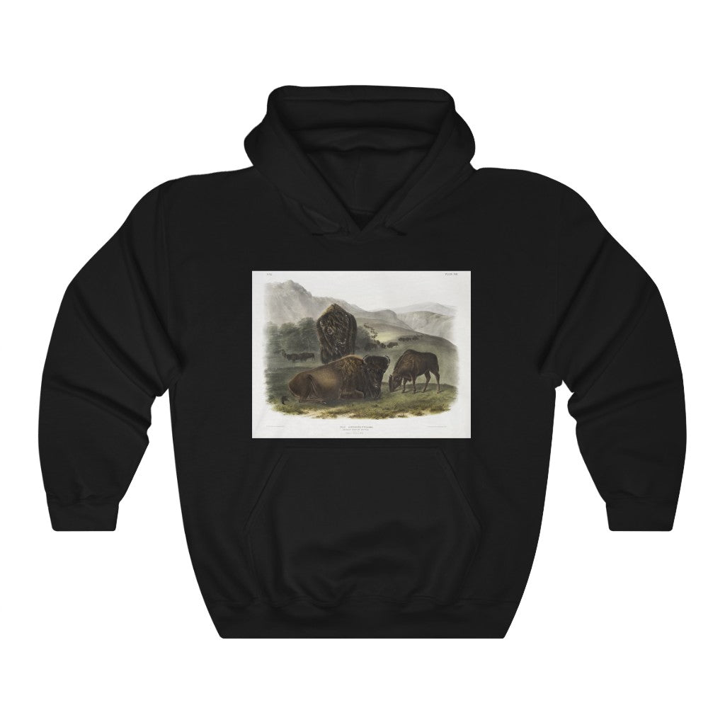 bison zoology Hooded Sweatshirt