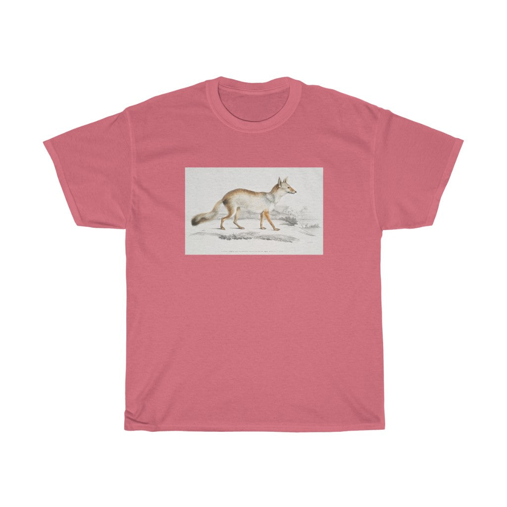 fox Zoology Heavy Cotton Tee