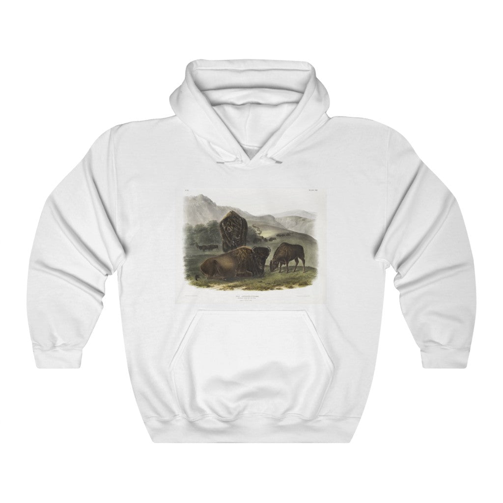 bison zoology Hooded Sweatshirt