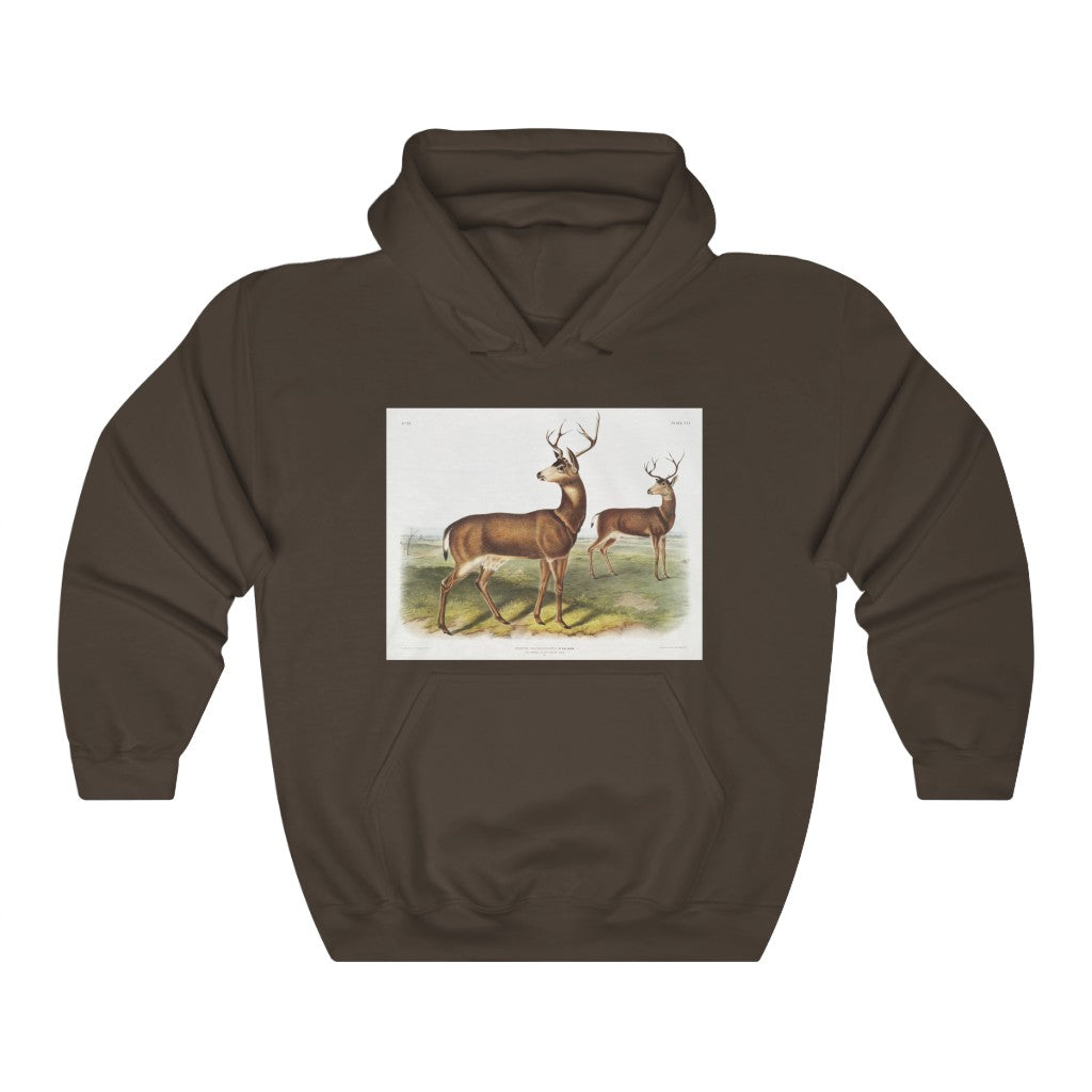buck zoology Hooded Sweatshirt