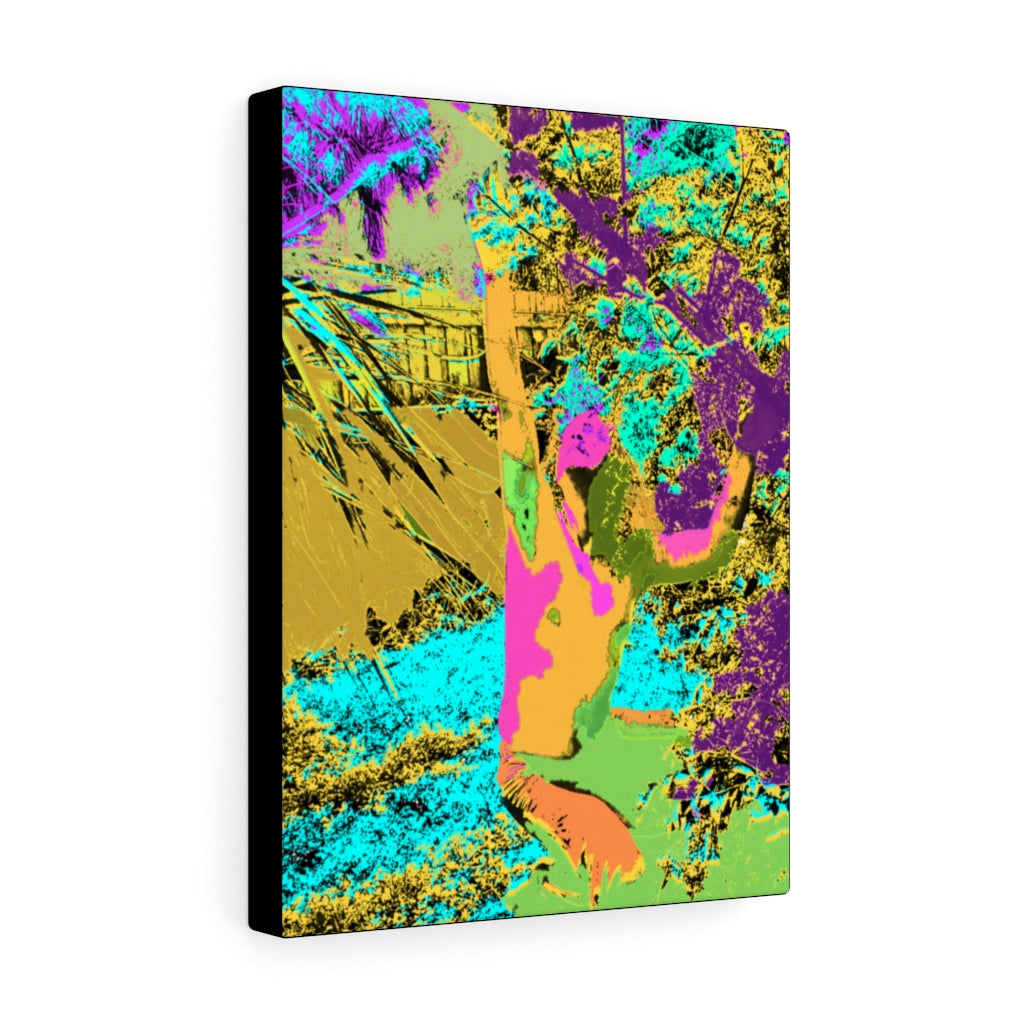 The Palm Fairy Stretched Canvas