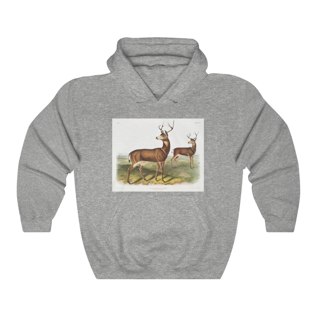 buck zoology Hooded Sweatshirt